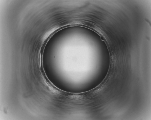 X0000103271127200808291234