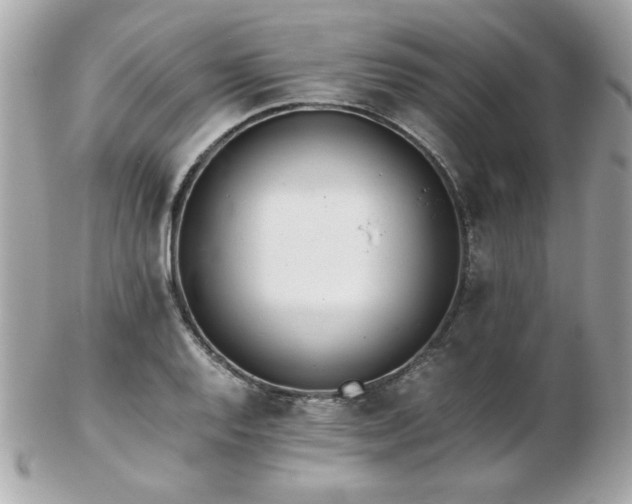 X0000103271128200808291234