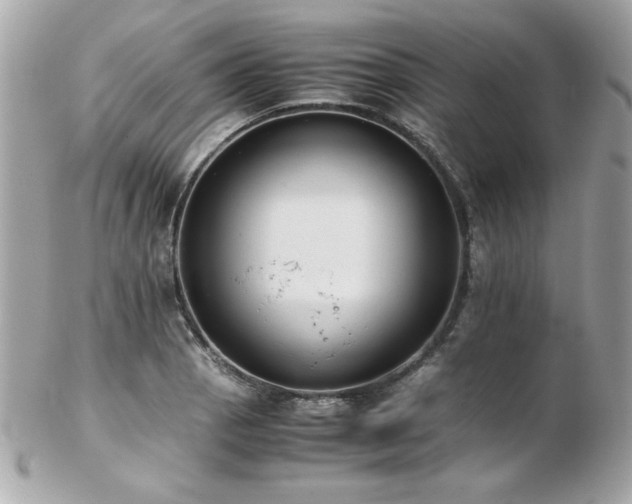 X0000103271129200808291234