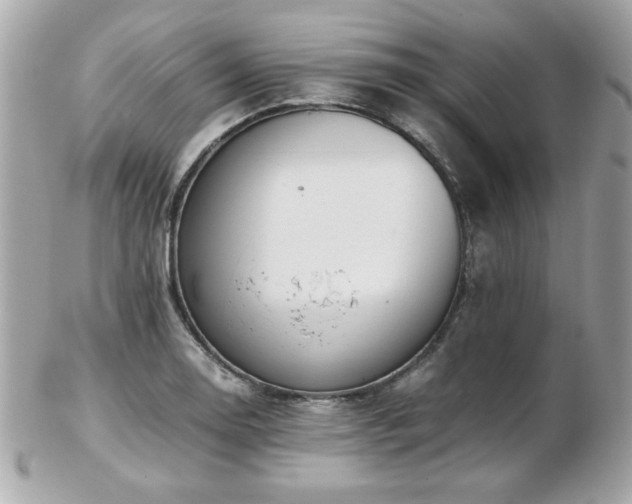 X0000103271130200808291234