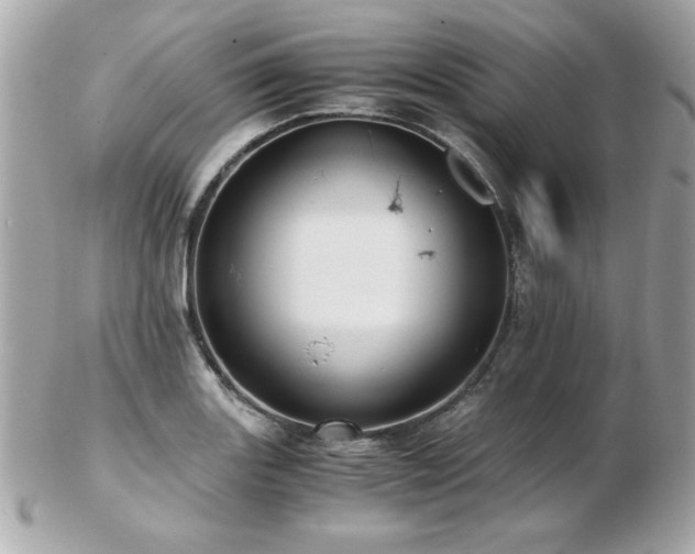 X0000103271131200808291234