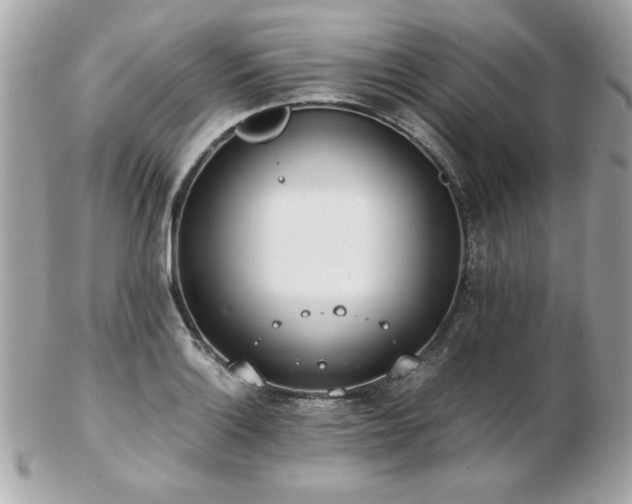 X0000103271132200808291234