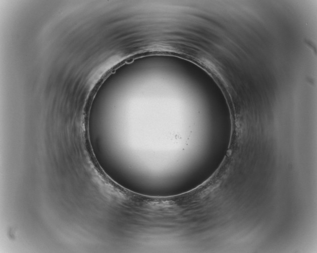 X0000103271133200808291234