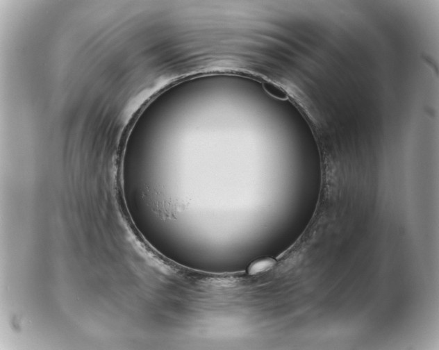 X0000103271134200808291234