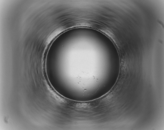 X0000103271135200808291234