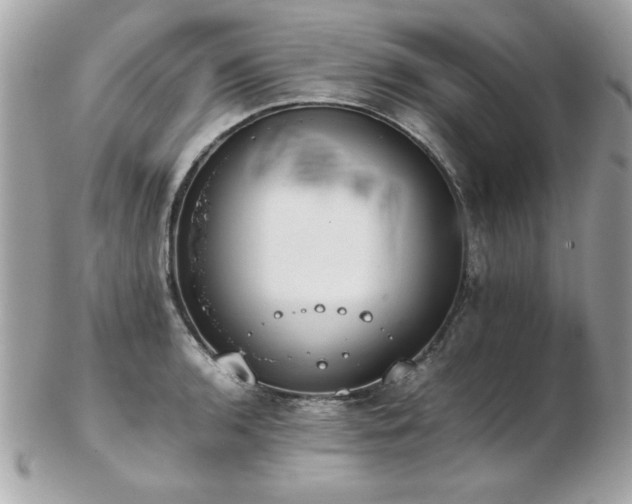 X0000103271136200808291234