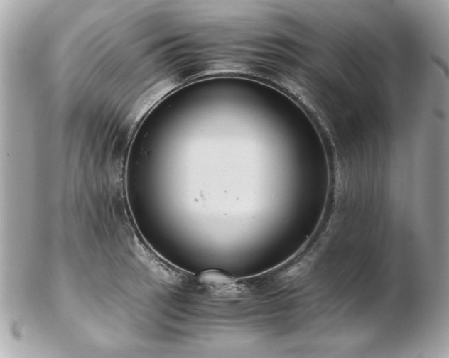 X0000103271137200808291234