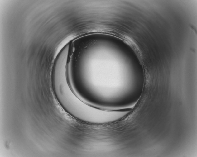 X0000103271138200808291234