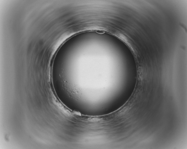 X0000103271140200808291234