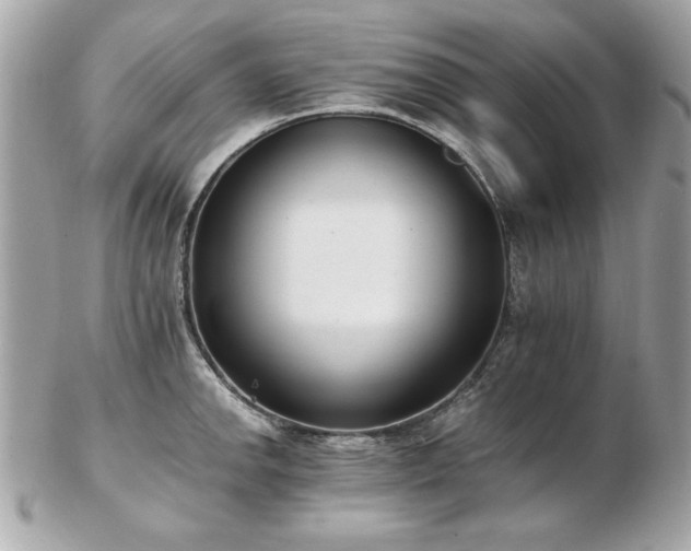 X0000103271142200808291234