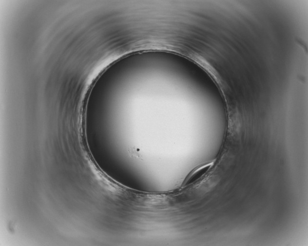 X0000103271144200808291234