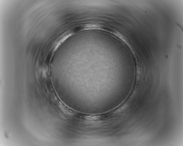 X0000103271145200808291234