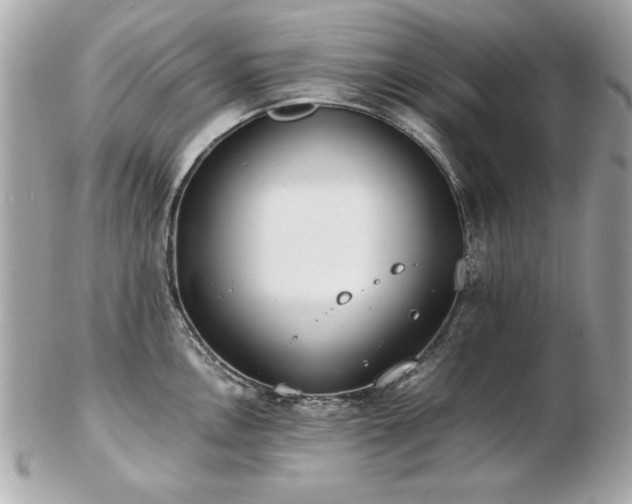 X0000103271146200808291234