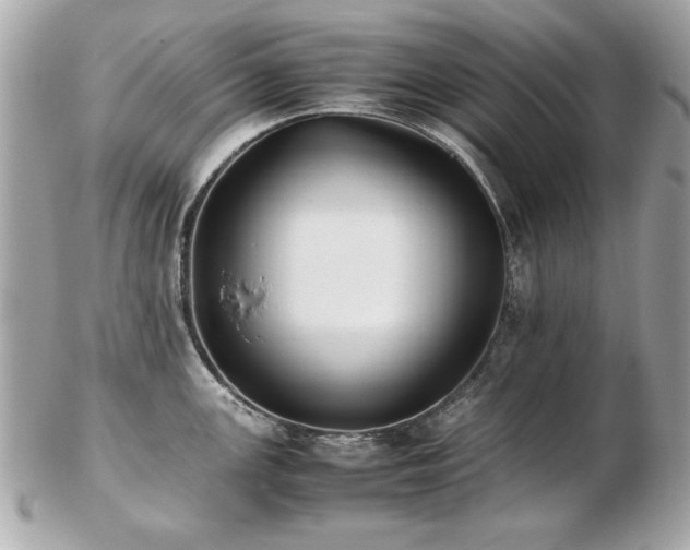 X0000103271147200808291234