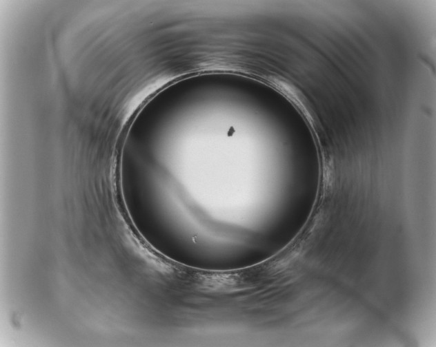 X0000103271149200808291234