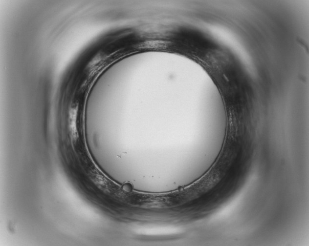 X0000103271150200808291234