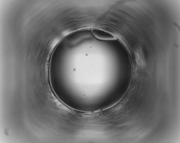 X0000103271151200808291234