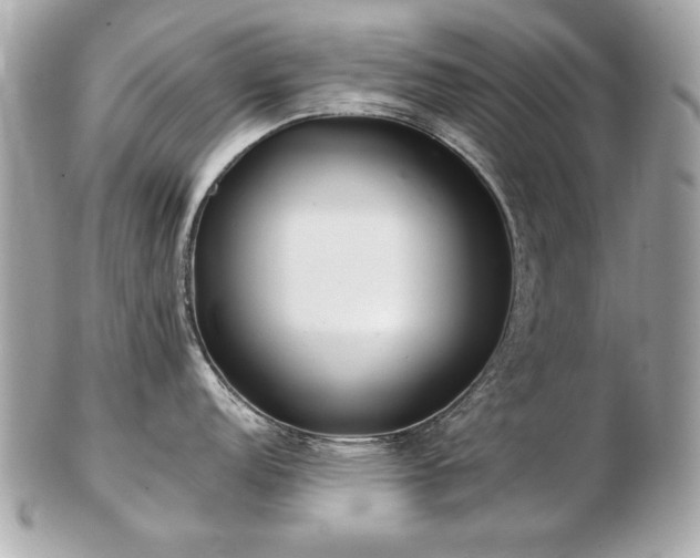 X0000103271152200808291234