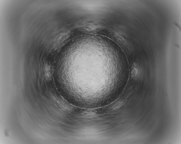 X0000103271156200808291233