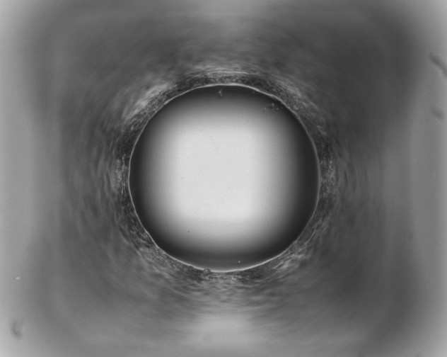 X0000103271157200808291233