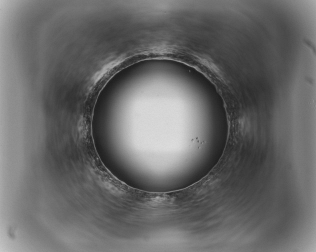 X0000103271160200808291233