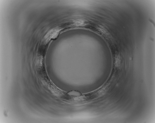 X0000103271161200808291233