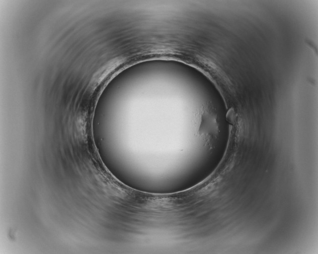 X0000103271162200808291233