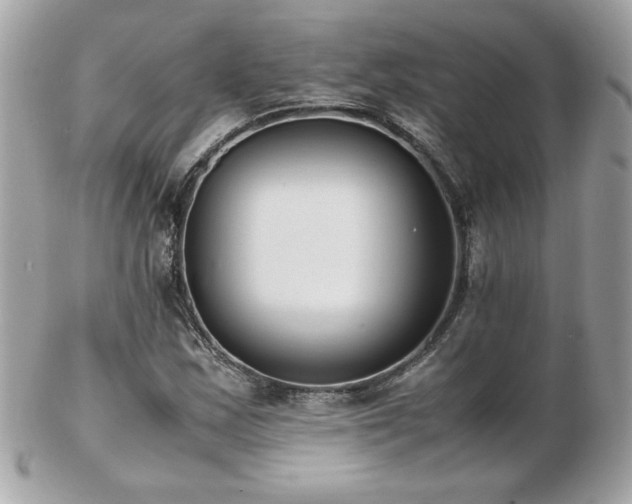 X0000103271163200808291233