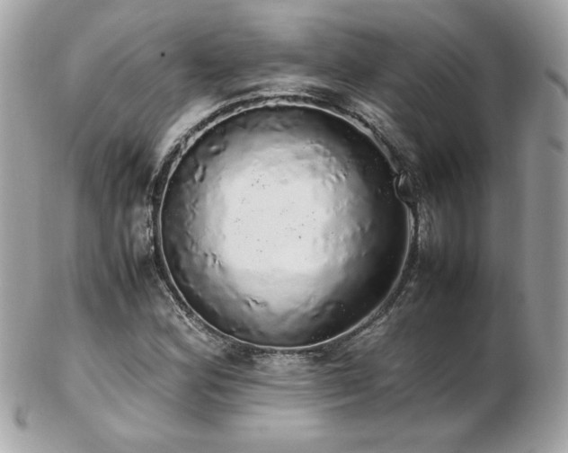 X0000103271164200808291233