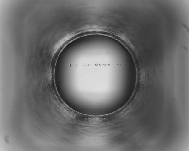 X0000103271167200808291233