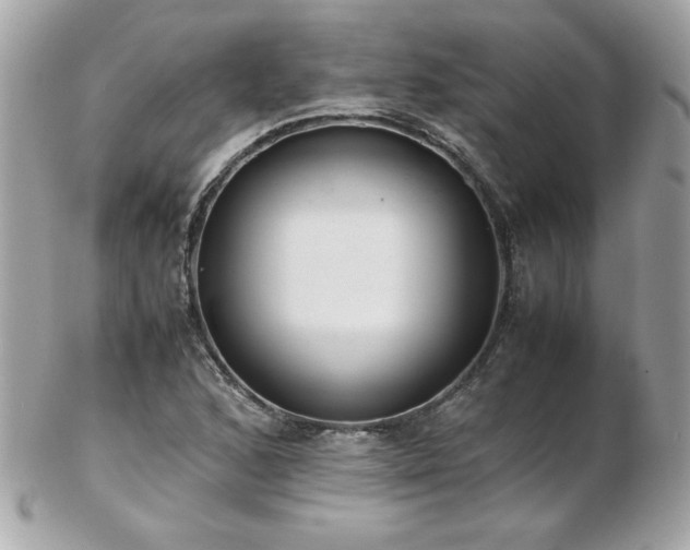 X0000103271168200808291233