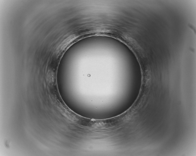 X0000103271169200808291233