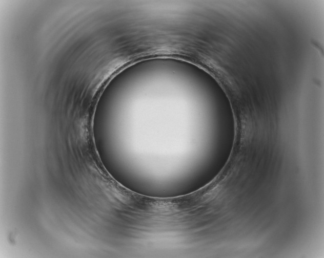 X0000103271170200808291233