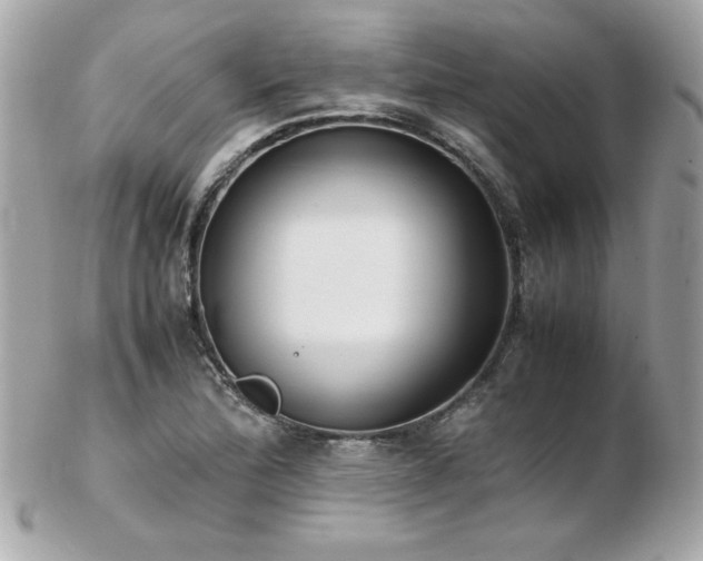 X0000103271172200808291233