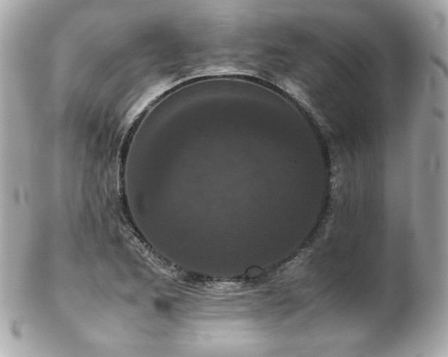 X0000103271173200808291233