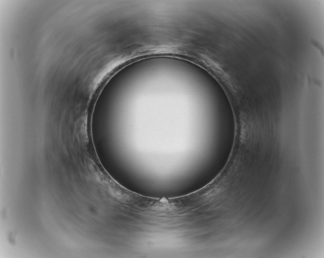 X0000103271174200808291233