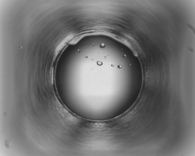 X0000103271180200808291233