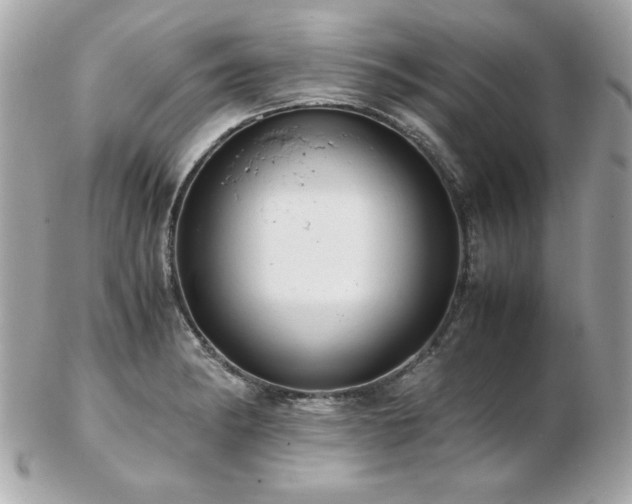 X0000103271182200808291233