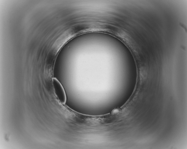 X0000103271185200808291233