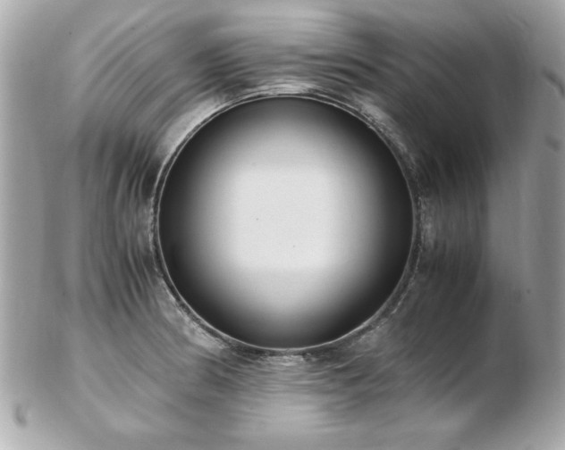 X0000103271186200808291233