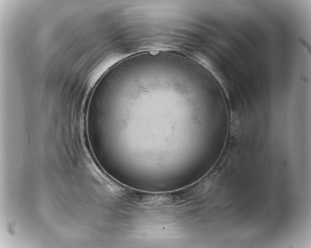 X0000103271187200808291233