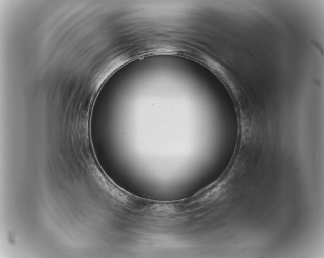 X0000103271194200808291233