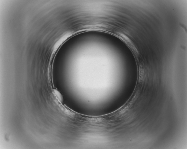 X0000103271196200808291233