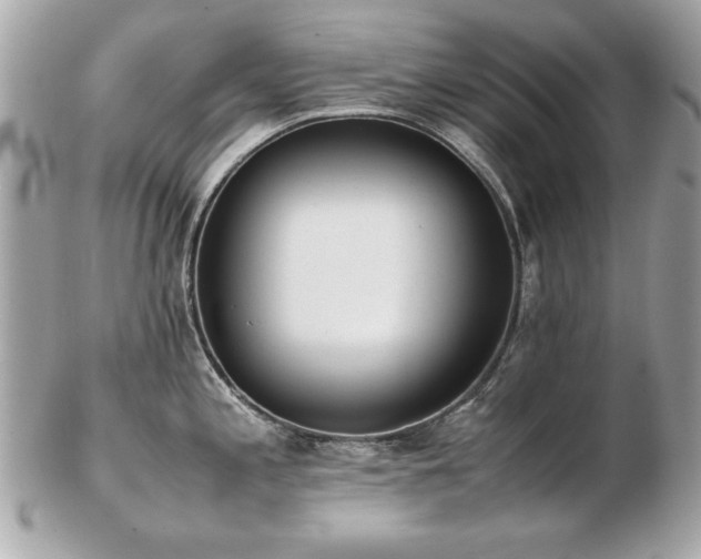 X0000103271197200808291233