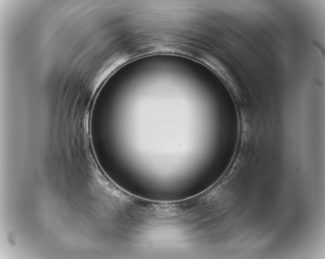 X0000103271198200808291233