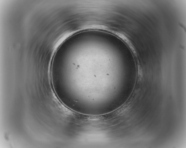 X0000103271199200808291233