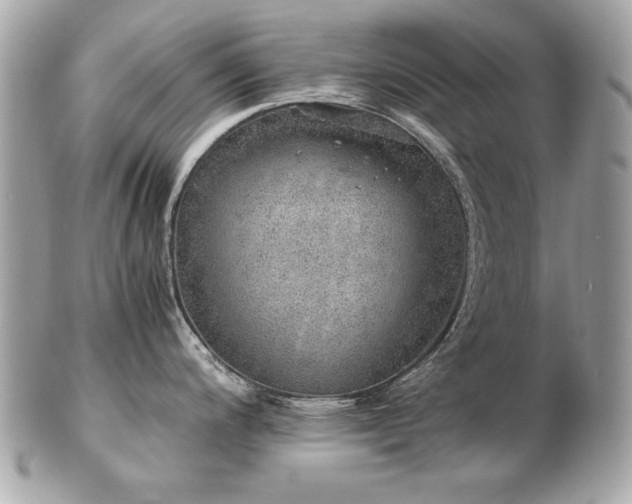 X0000103271200200808291233