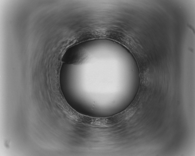 X0000103271201200808291232