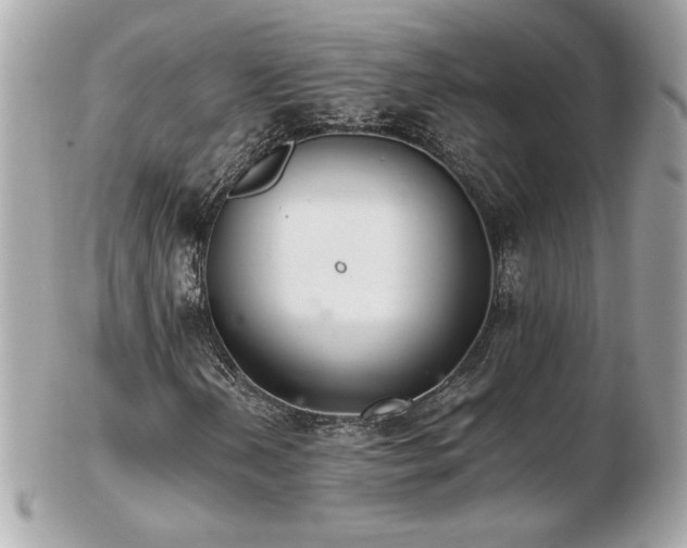 X0000103271202200808291232