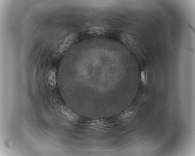 X0000103271203200808291232